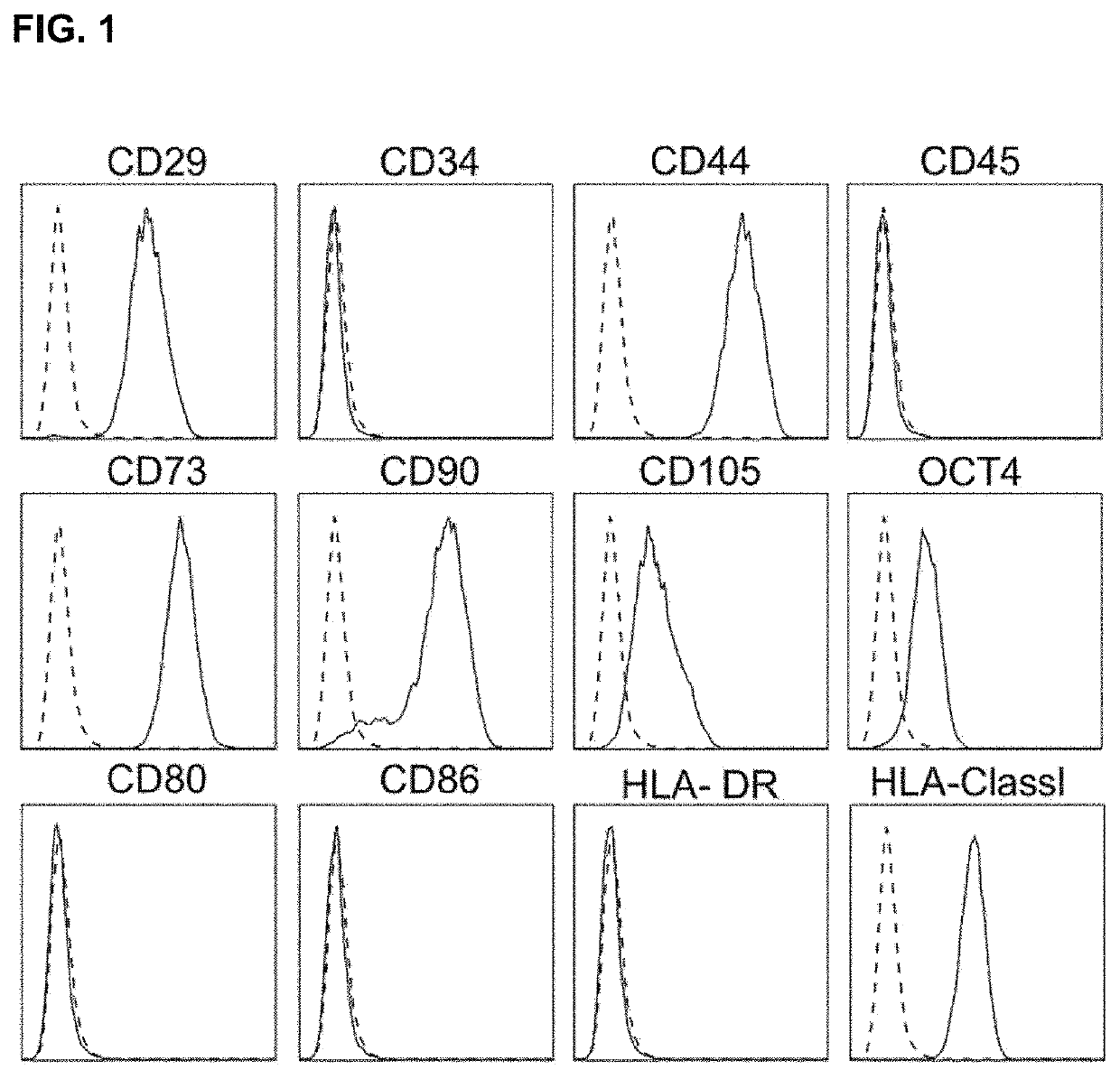 Pharmaceutical composition for preventing or treating regulatory T cell-mediated diseases