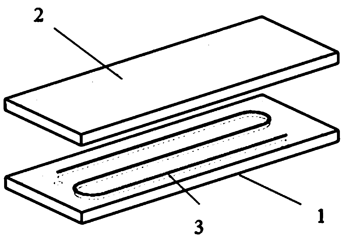 A microfluidic biochip detection device and preparation method