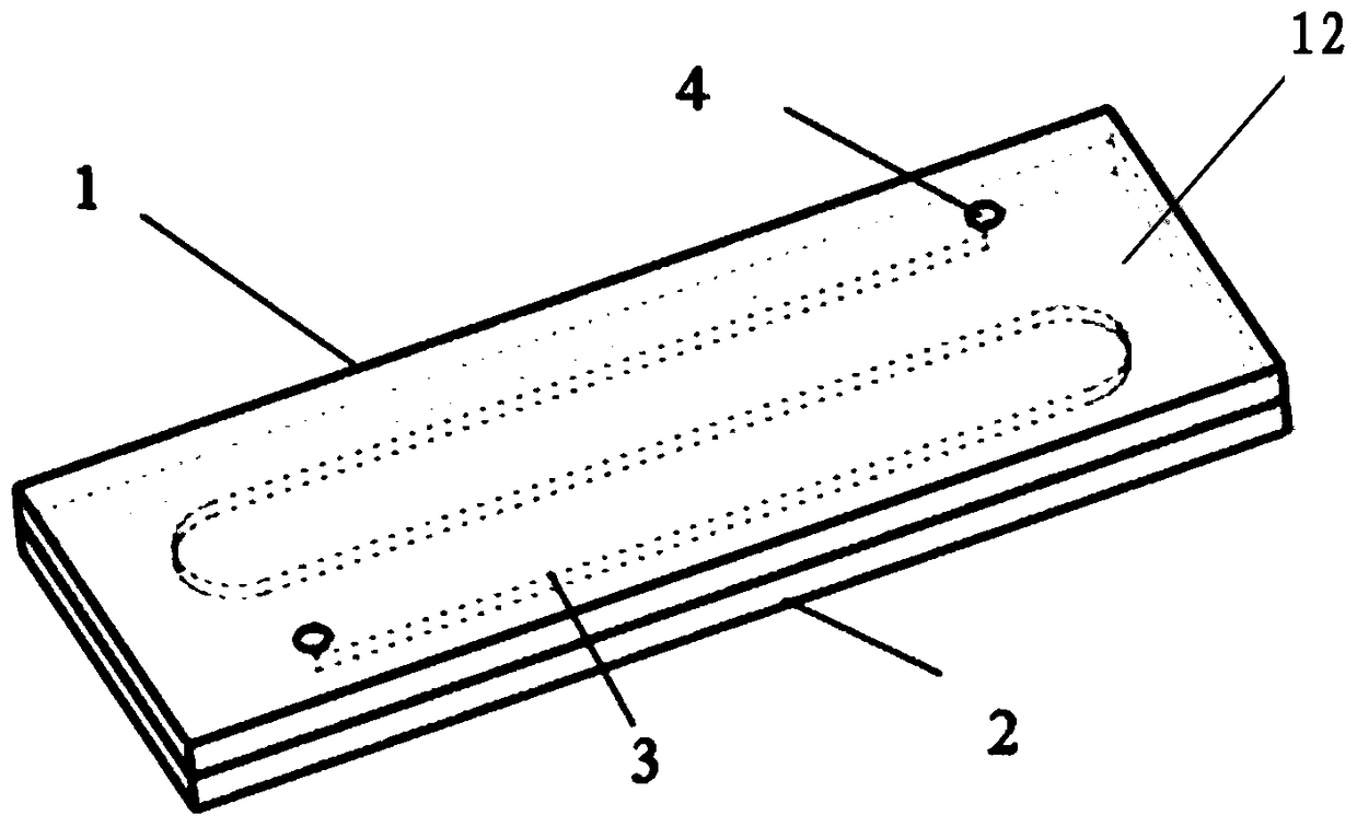 A microfluidic biochip detection device and preparation method