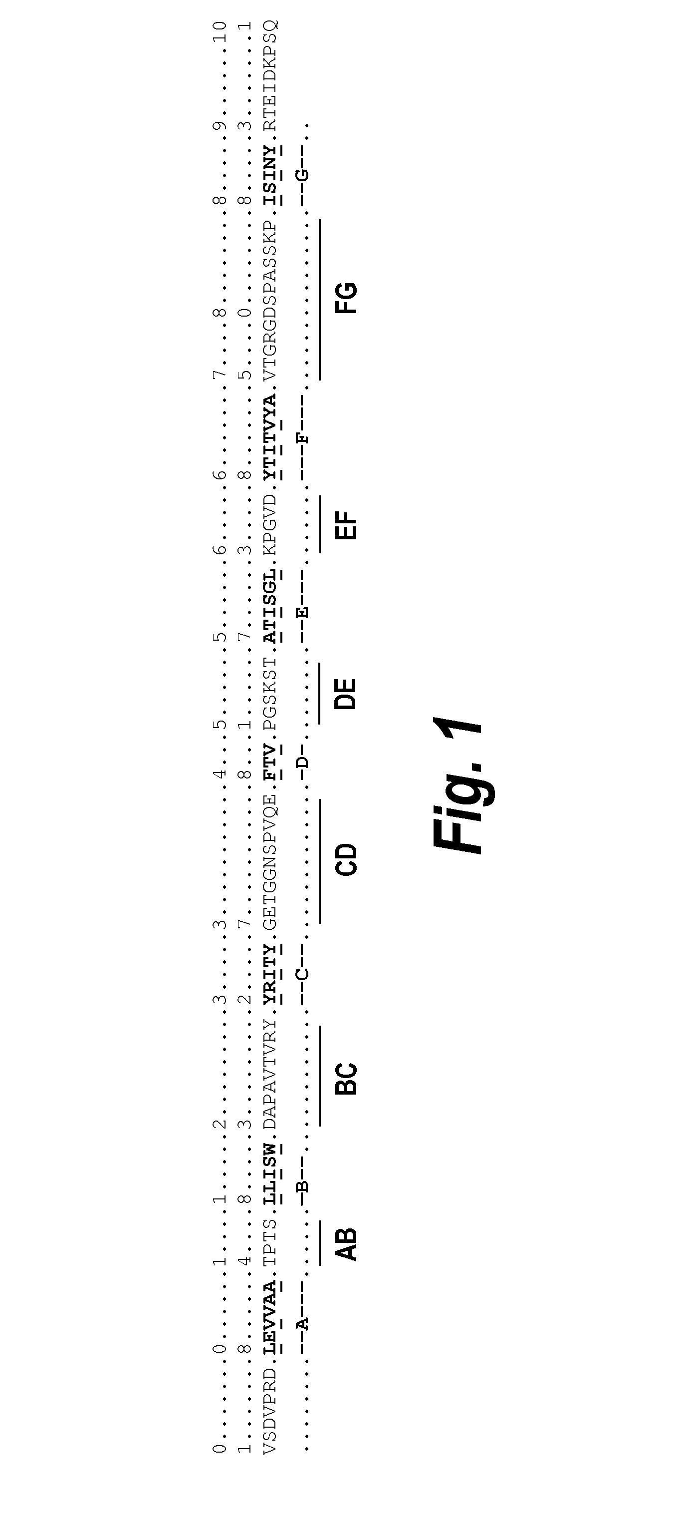 Fibronectin binding domains with reduced immunogenicity