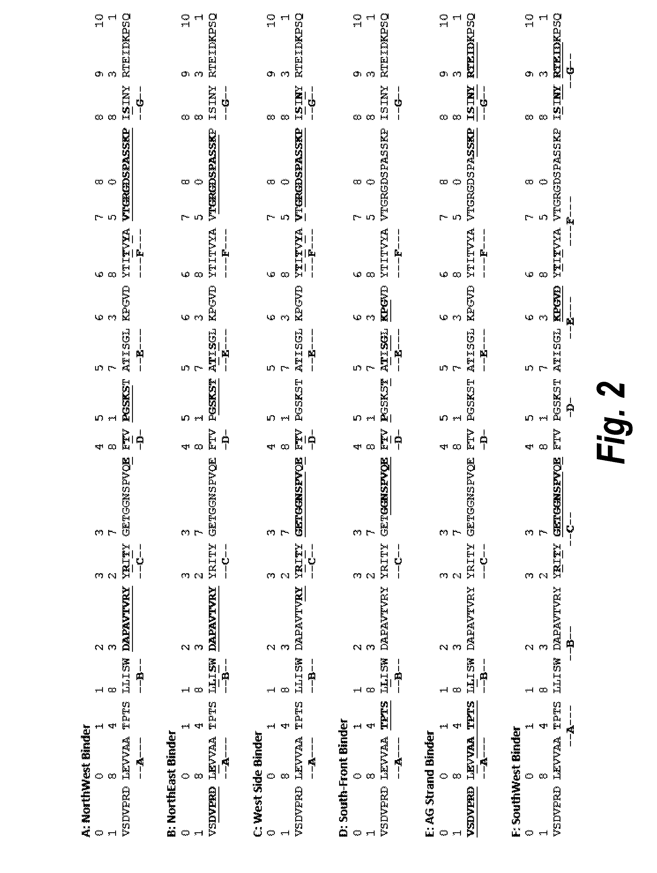 Fibronectin binding domains with reduced immunogenicity