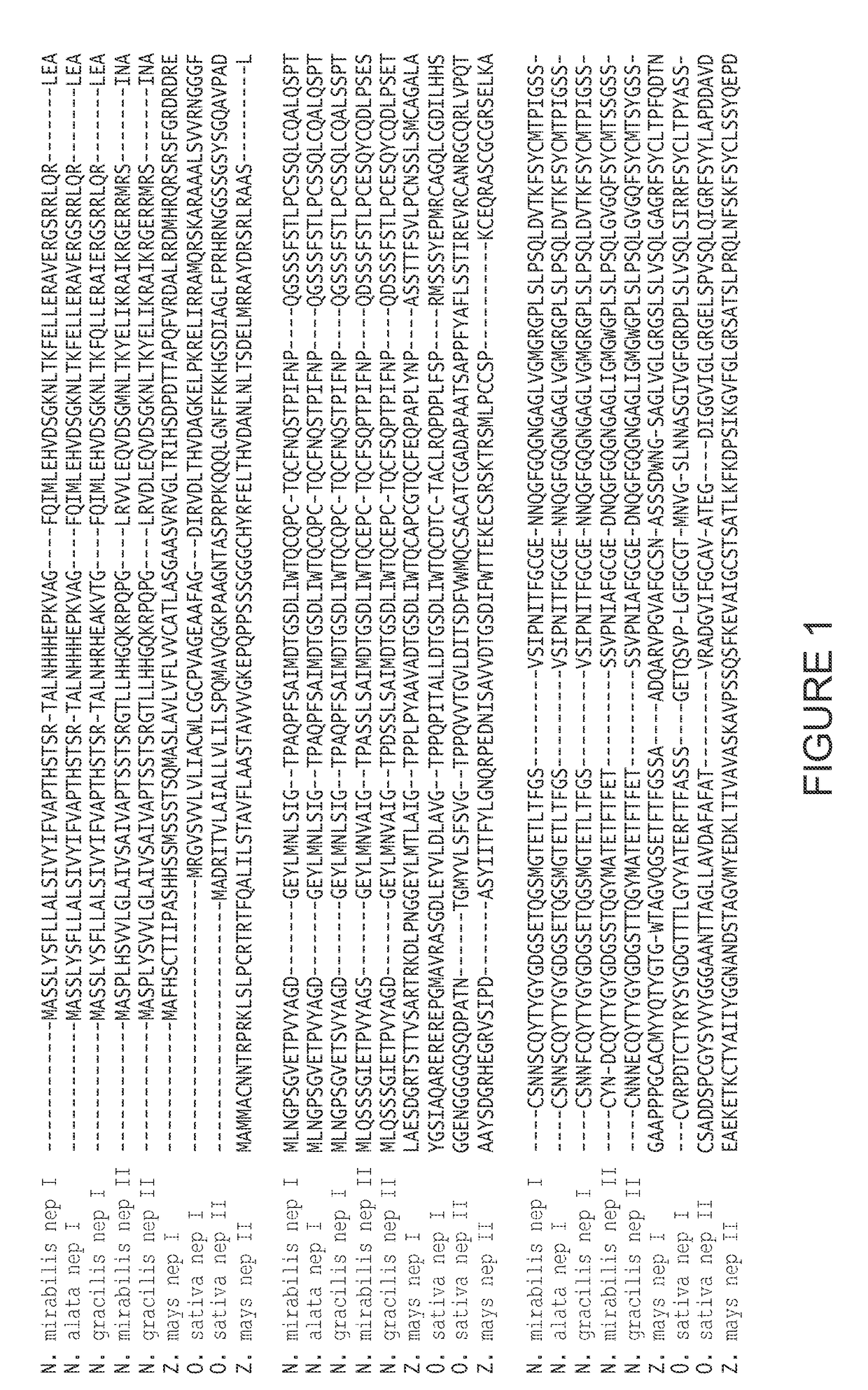 Compositions and methods for treating gluten intolerance and disorders arising therefrom