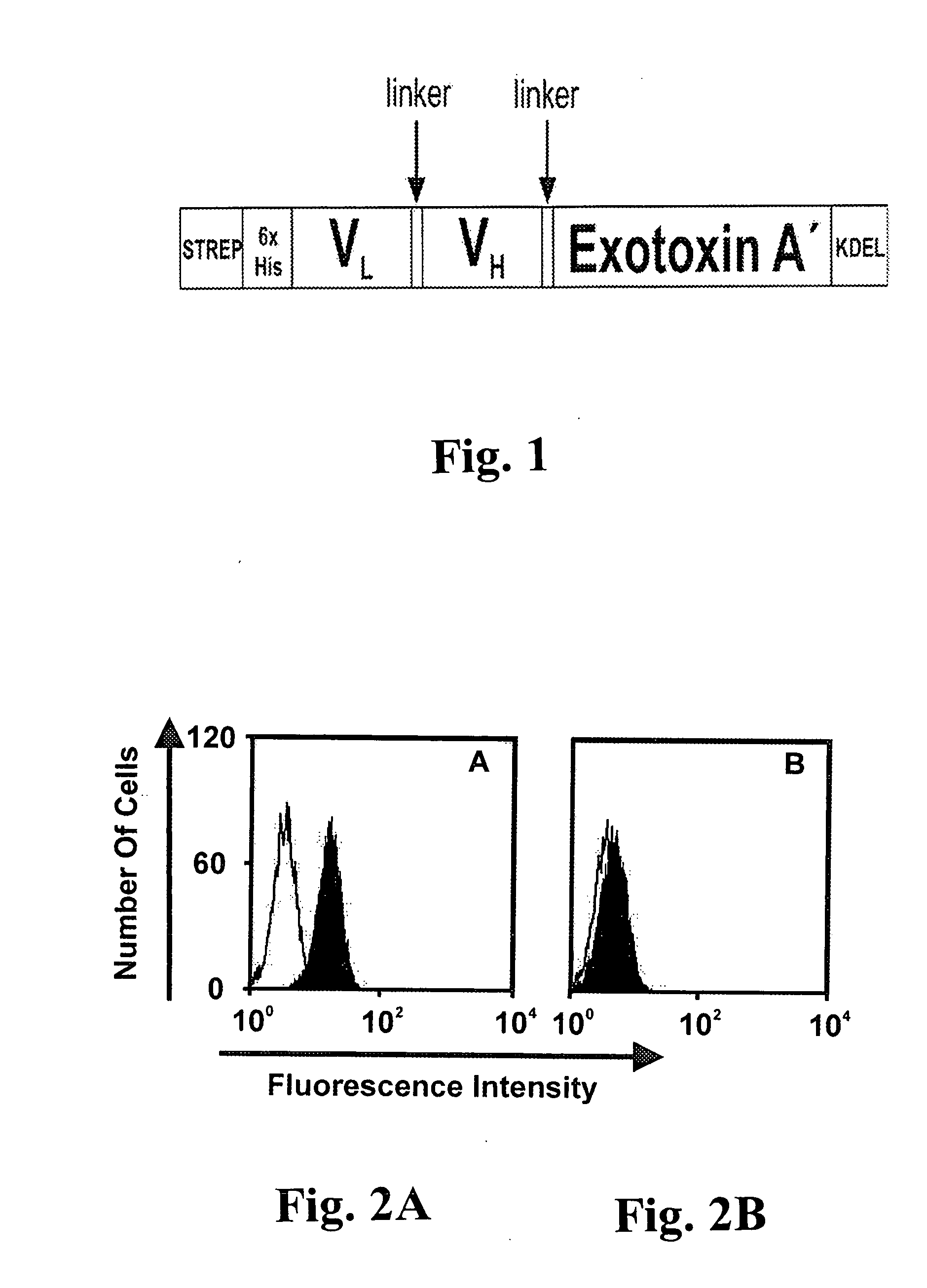 CD19-specific immunotoxin and treatment method