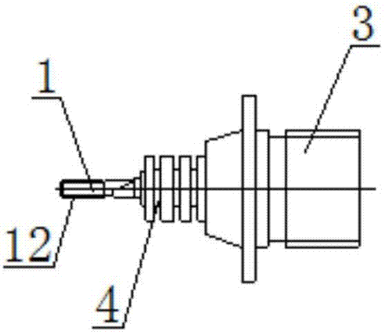 High-voltage electrode structure used for ionic pump