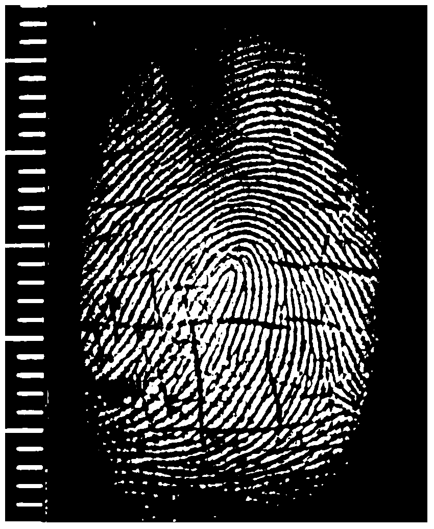 A kind of tio2/c enhanced fingerprint display magnetic powder and its preparation method and application