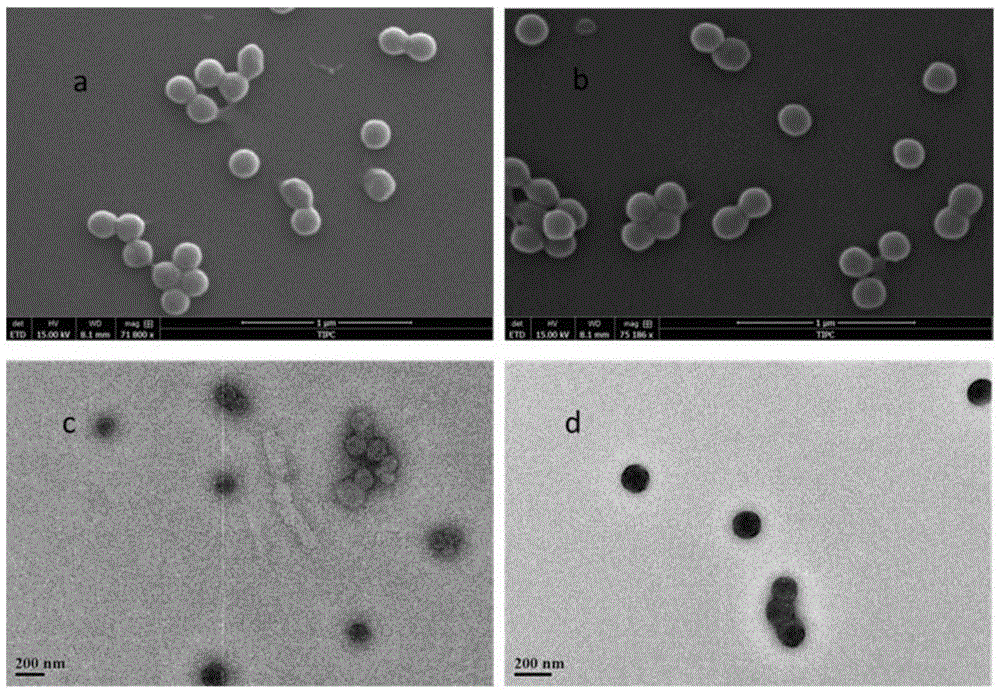 Guanidyl macromolecule antibacterial nano microspheres and preparation method thereof