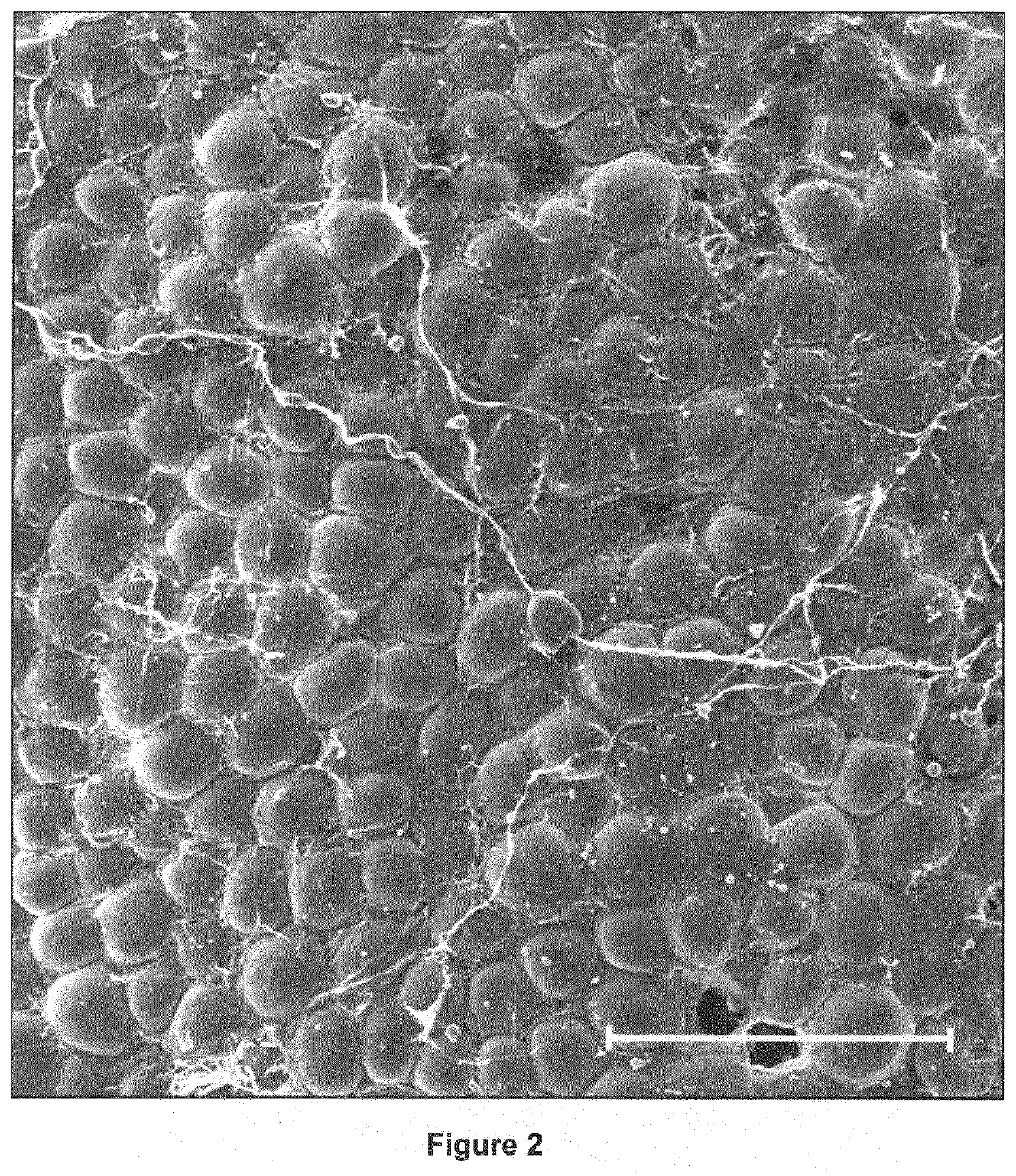 Textured surfaces for implants