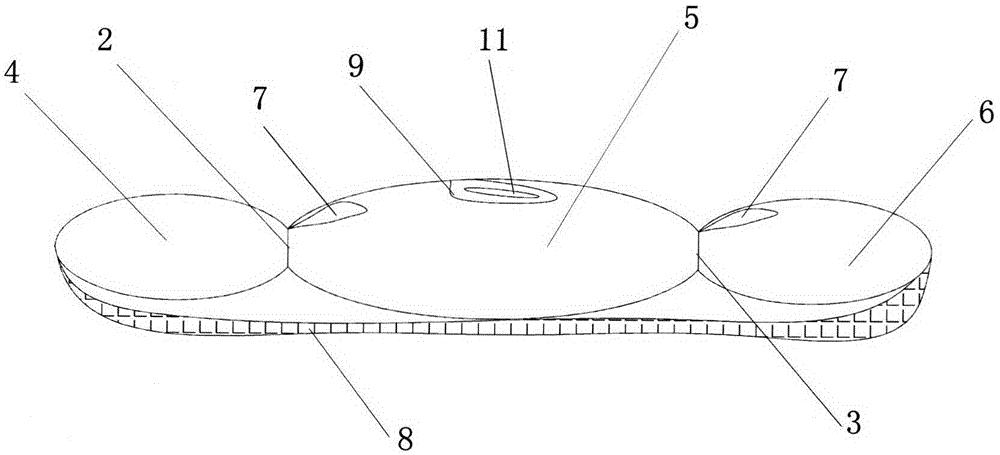 Cinnamomum camphor health-care pad core and related product prepared by same