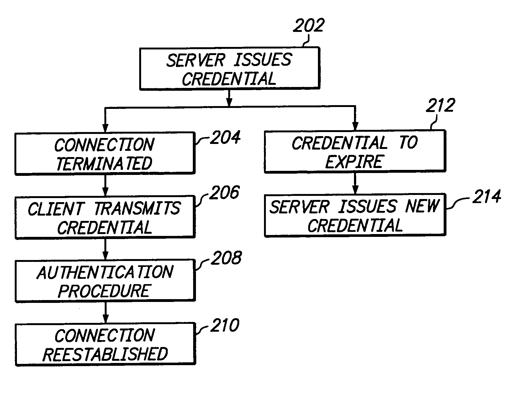 Server computer issued credential authentication