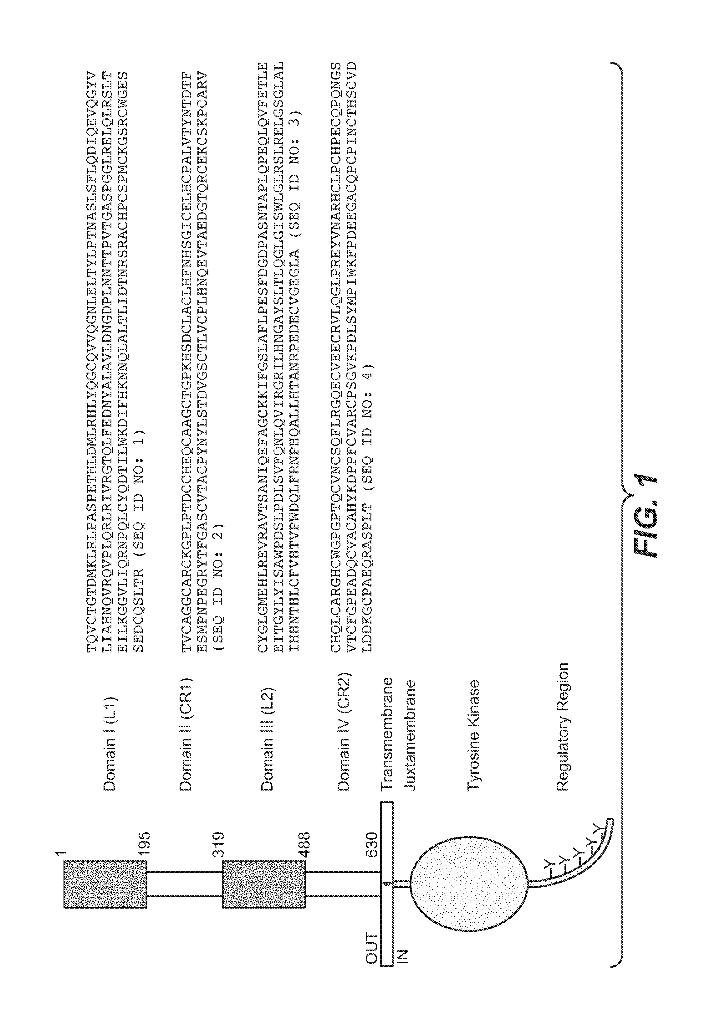 Articles of manufacture  and methods for co-administration of antibodies