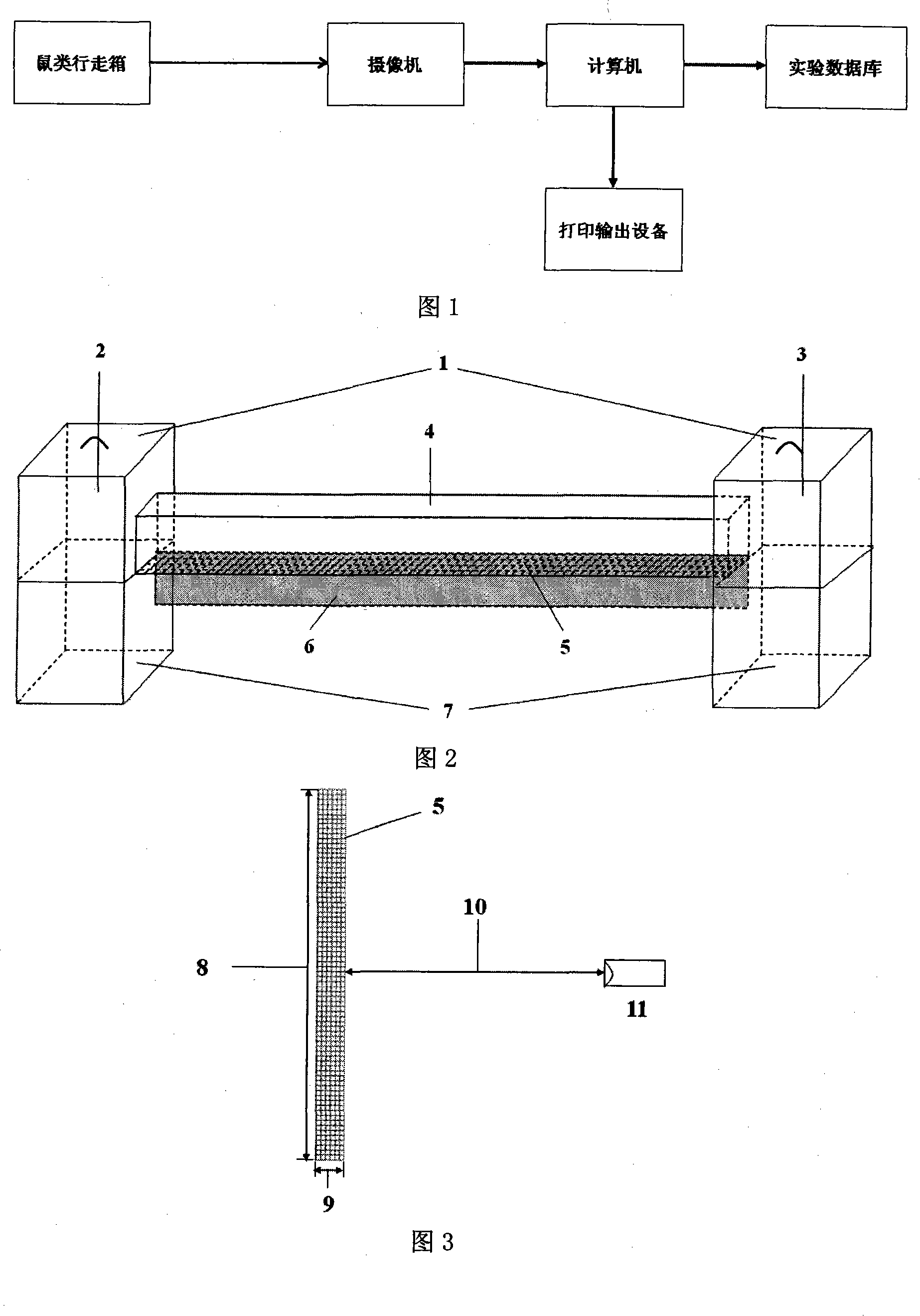 Rat sports ability detecting method and system