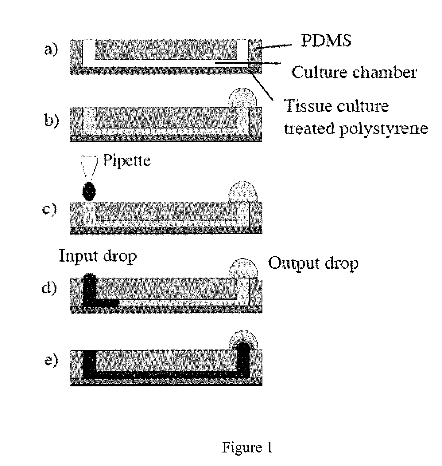 Methods and Devices for Quantitative Viral Assays