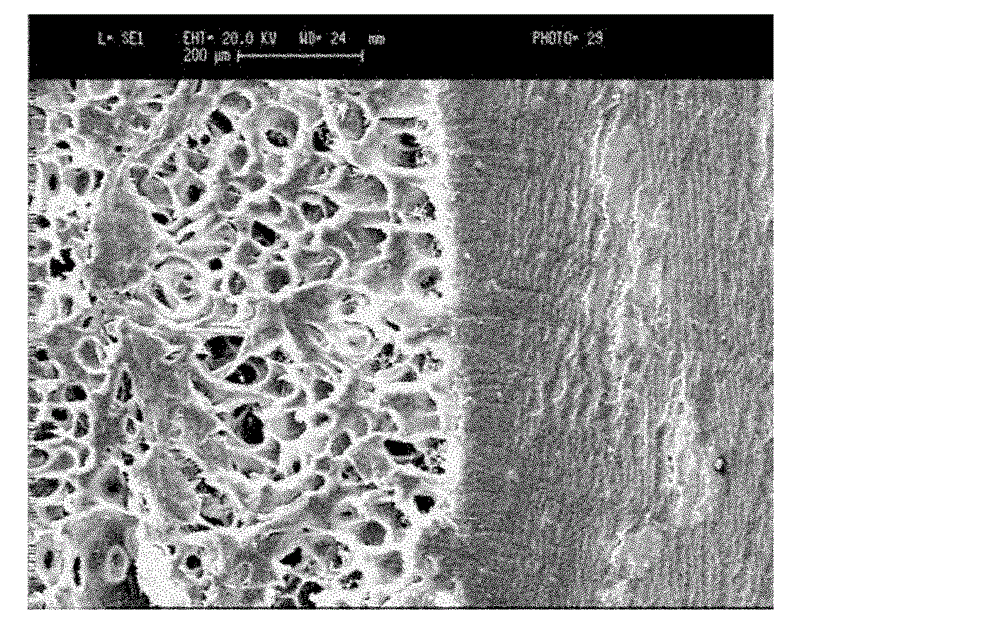 Preparation method of biological function composite auxetic hydrogel with shell core structure