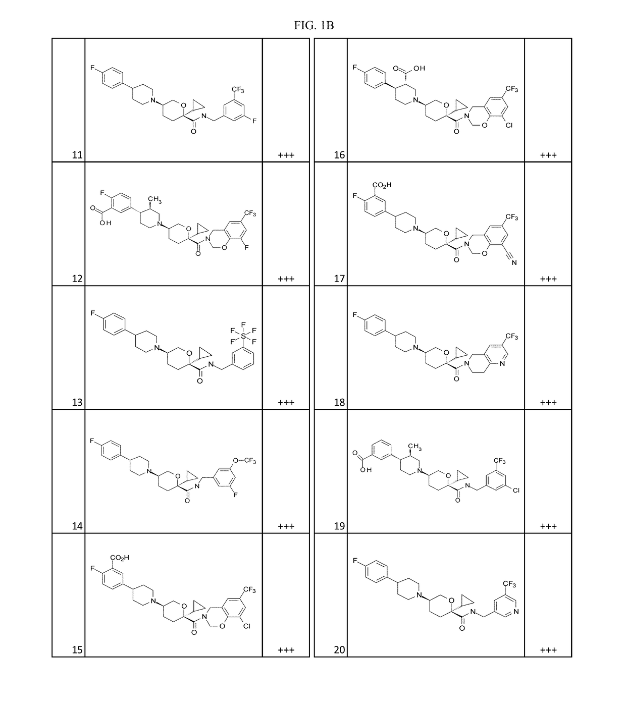 Substituted tetrahydropyrans as CCR2 modulators