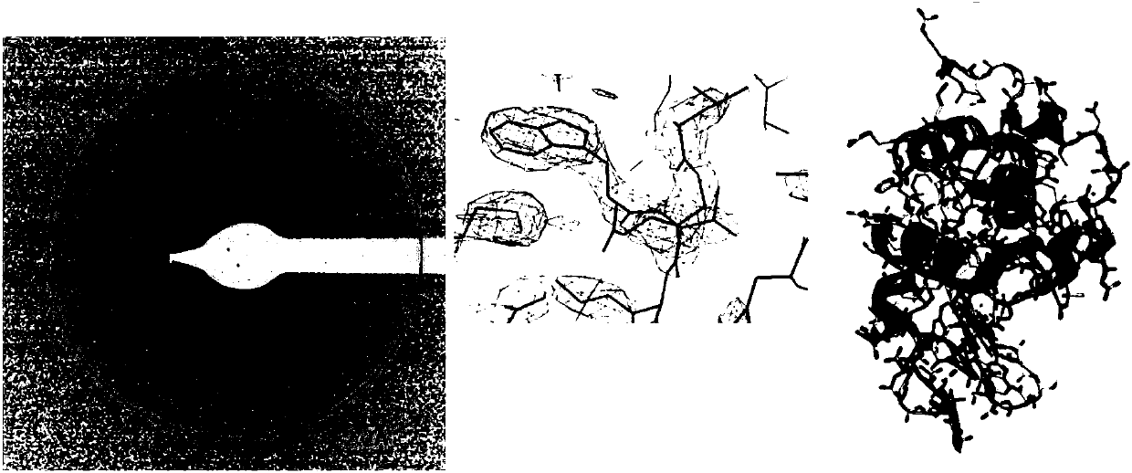 Preparation of protein micro crystal frozen sample and method of structural analysis
