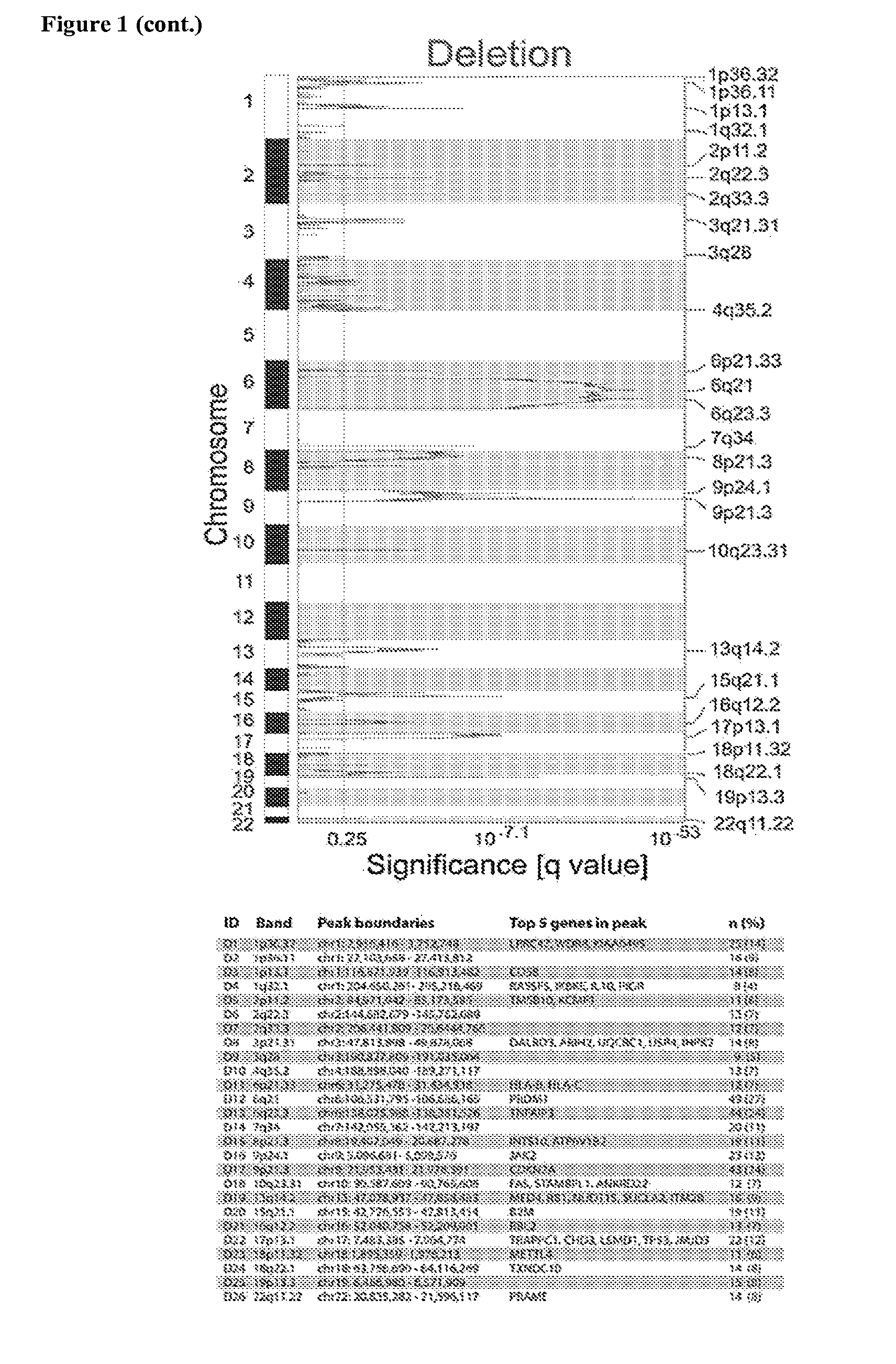Compositions, Kits, and Methods for the Identification, Assessment, Prevention, and Therapy of Cancer