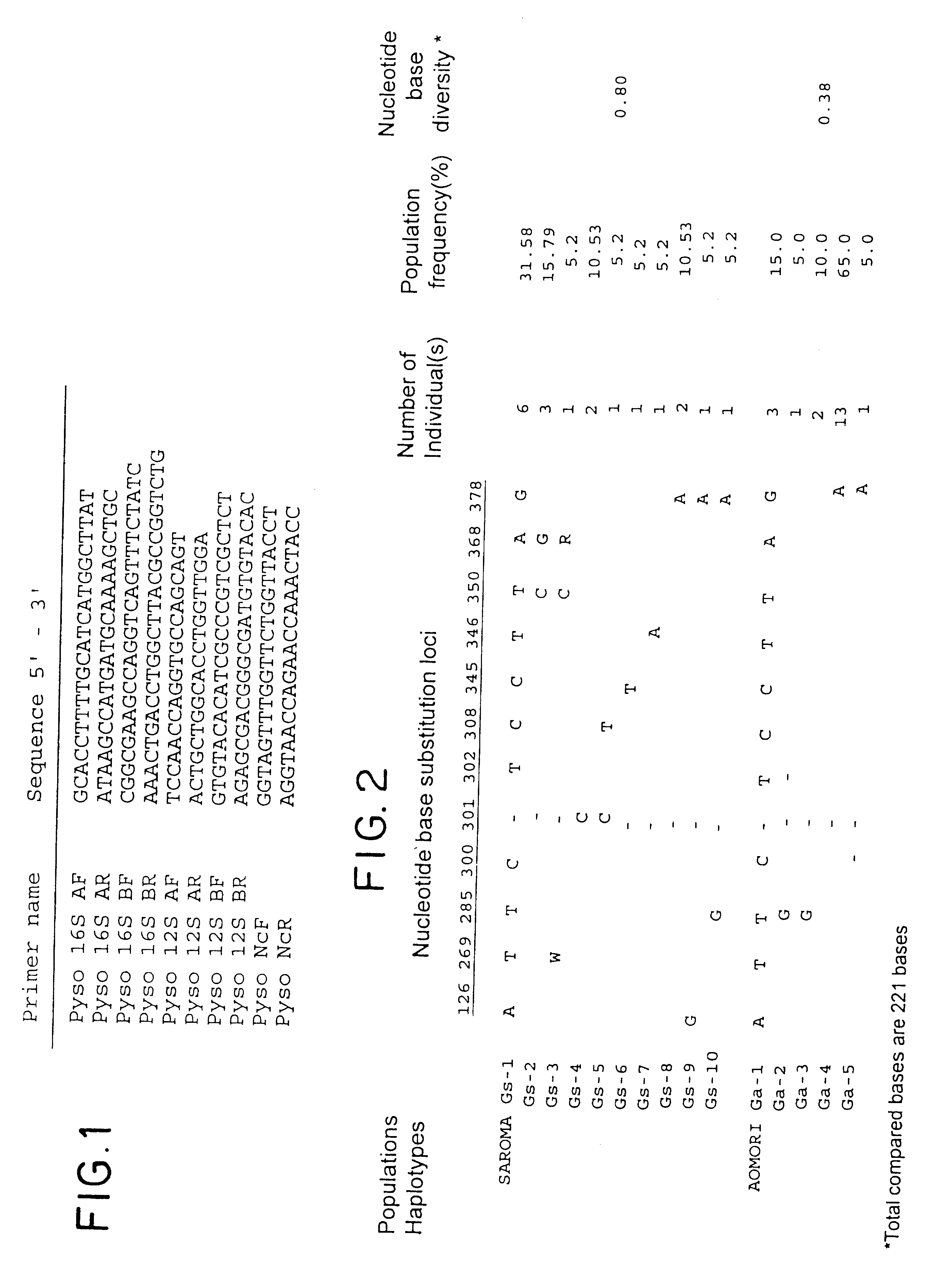 Method for analyzing phyletic lineage of scallop