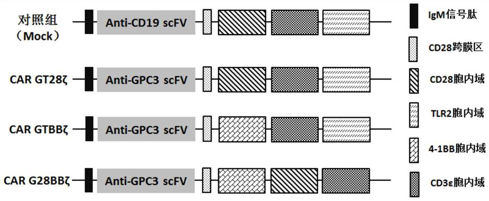 A kind of recombinant lentivirus and its application