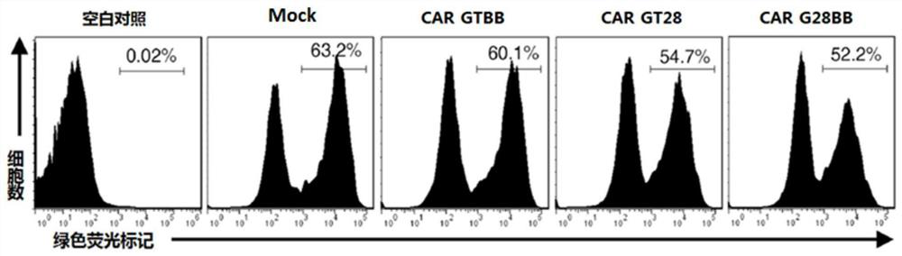 A kind of recombinant lentivirus and its application