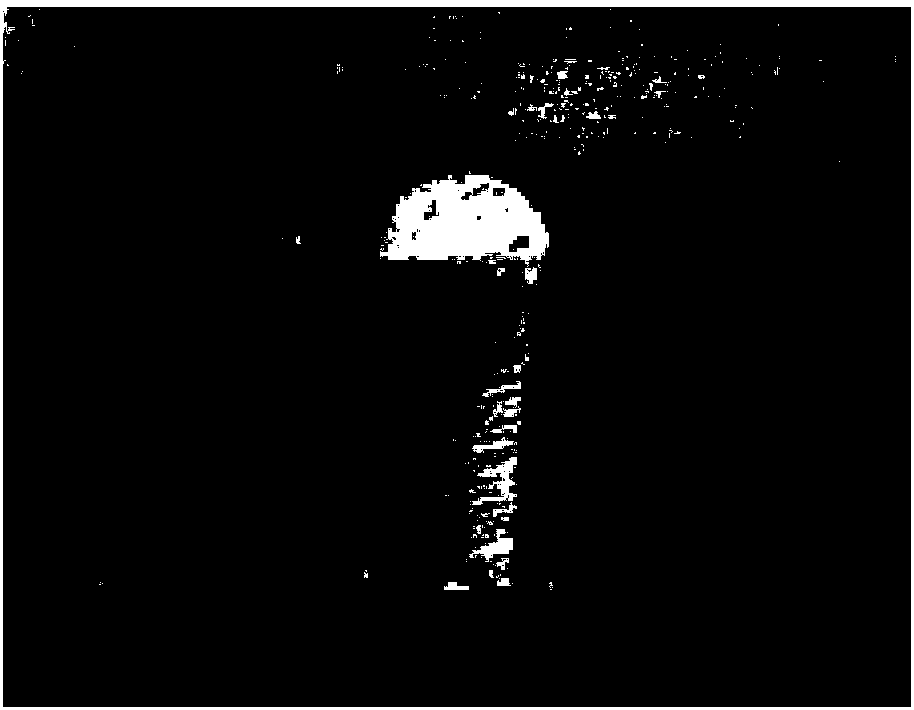 Nanometer-level and high-precision preparation method for cross section of IC product