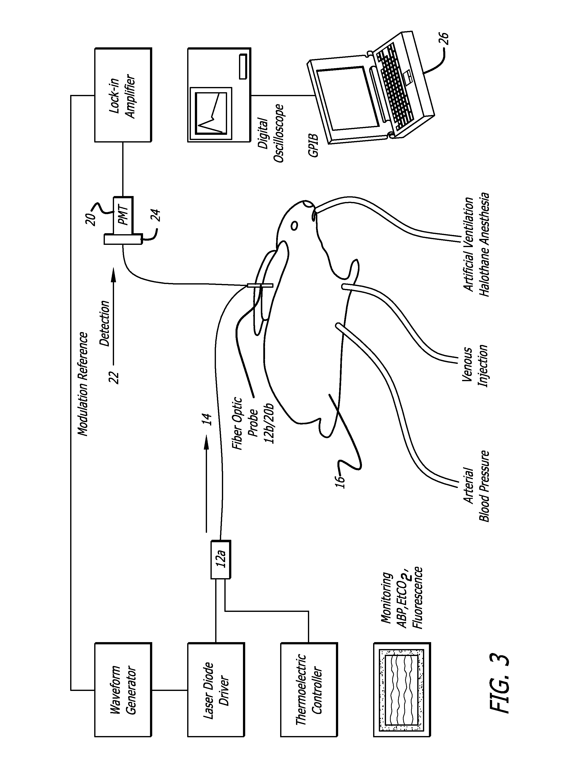 Measurement of hematocrit and cardiac output from optical transmission and reflection changes