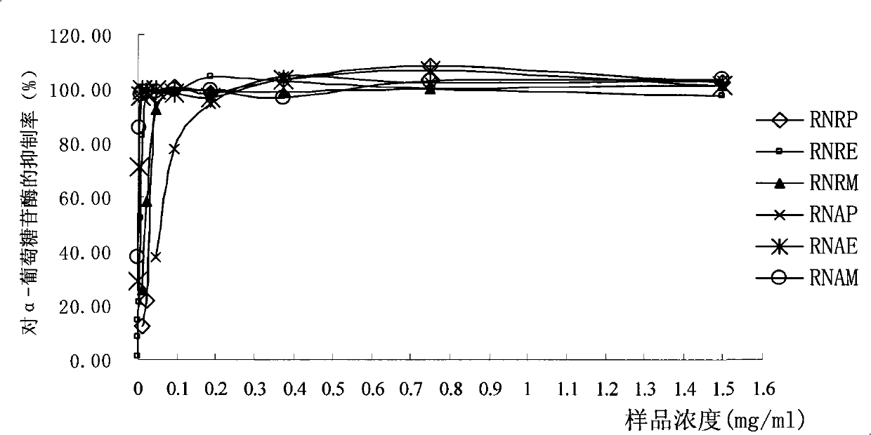 Rumex nepalensis Spreng. extract as well as preparation method and use thereof