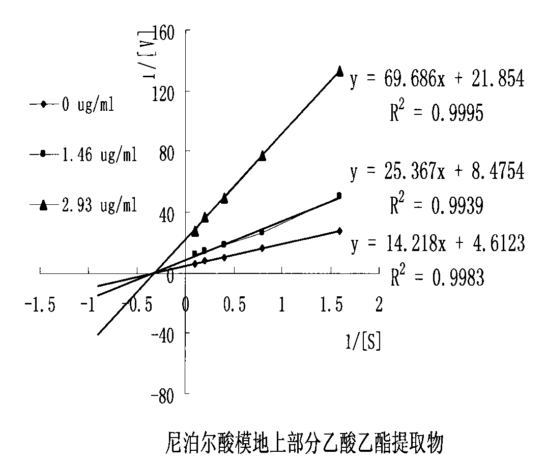 Rumex nepalensis Spreng. extract as well as preparation method and use thereof