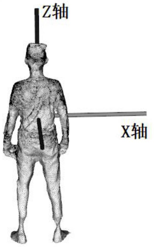 Human body measurement method based on motion reconstruction