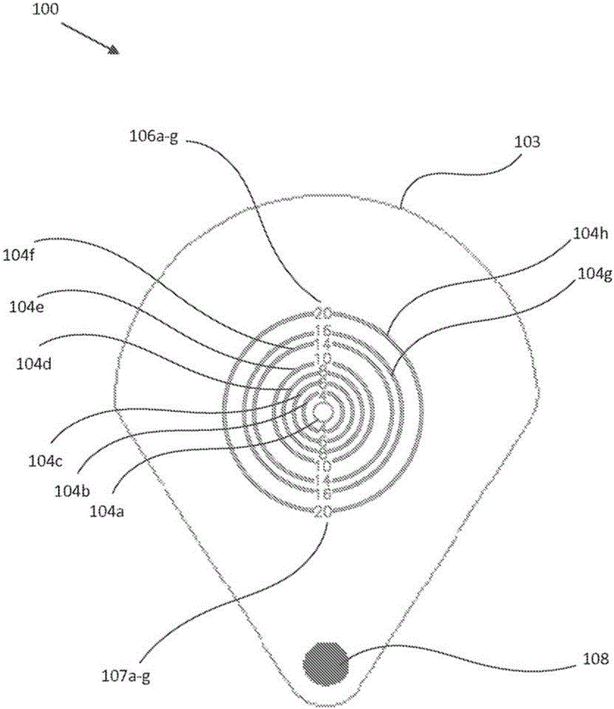 Blood vessel sizing device