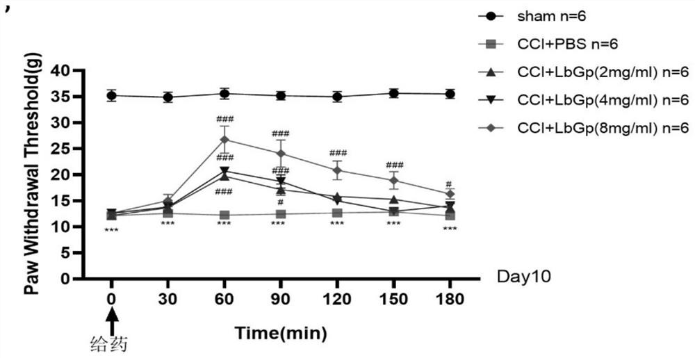 Application of lycium barbarum glycopeptide in preparation of medicine for relieving neuropathic pain