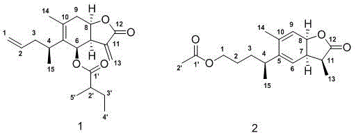 Sesquiterpene lactone compound, pharmaceutical composition comprising sesquiterpene lactone compound, as well as preparation method and application of sesquiterpene lactone compound