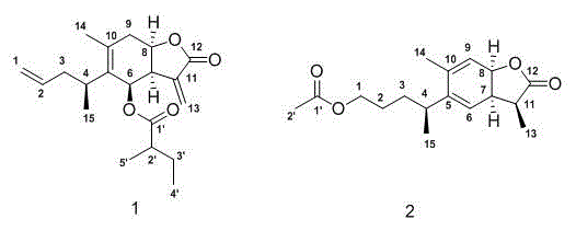 Sesquiterpene lactone compound, pharmaceutical composition comprising sesquiterpene lactone compound, as well as preparation method and application of sesquiterpene lactone compound