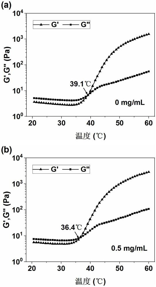 Multifunctional injectable hydrogel for tumor photo-thermal treatment and bone tissue repair and preparation method