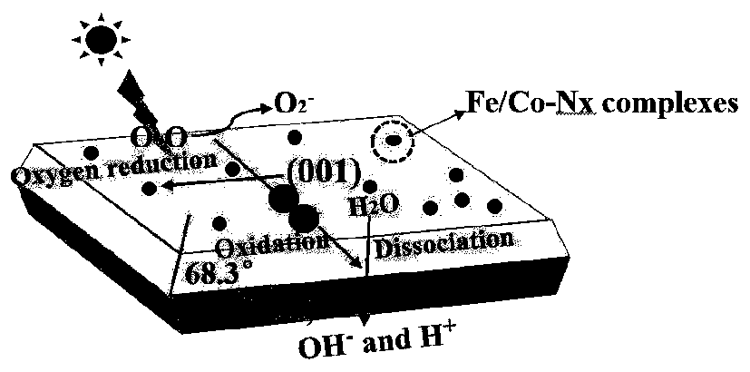 A fe/co-nx/tio  <sub>2</sub> Photocatalyst and its preparation method and application
