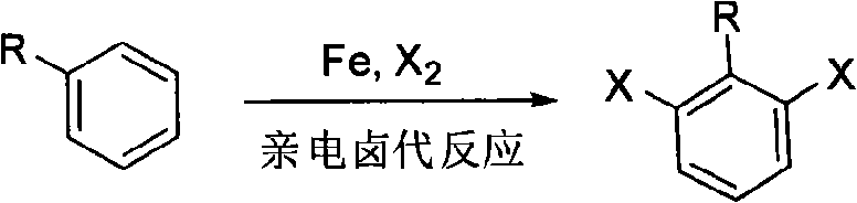 Ortho-position dihalogen substitution compound of aryl pyrimidine and preparing method thereof