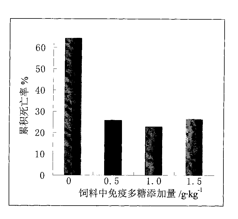 Immune polysaccharide intensifier and preparation method and application thereof