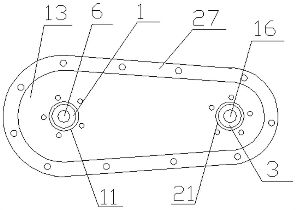 Seals for chain drives