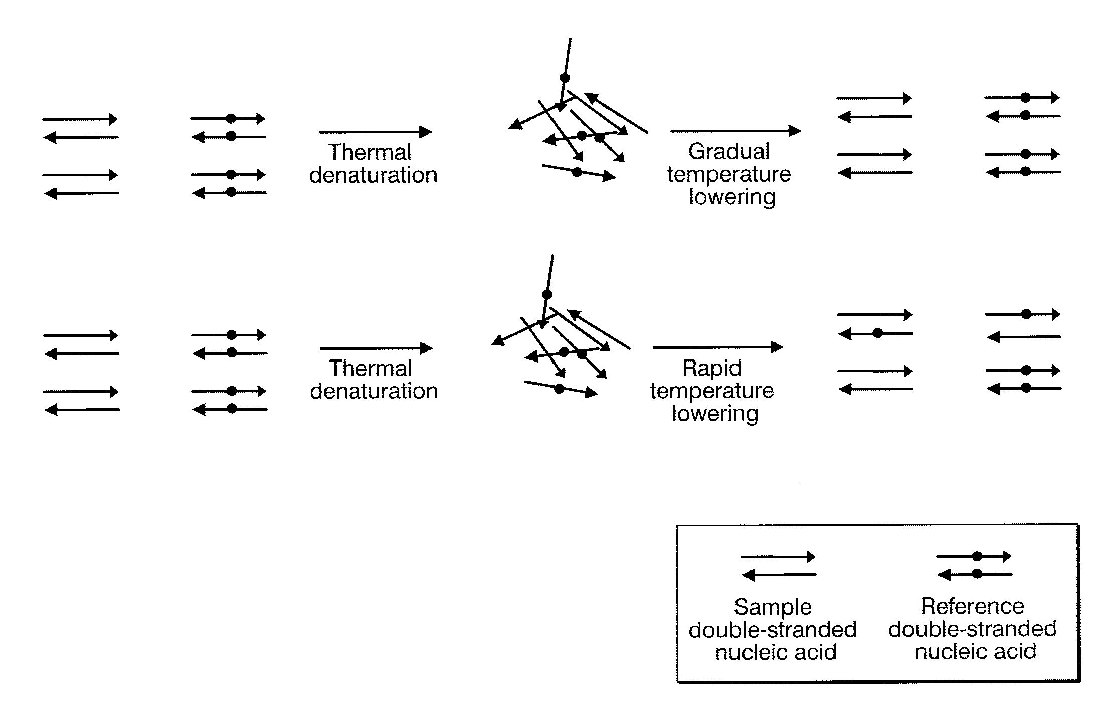 Method for identifying target base sequence