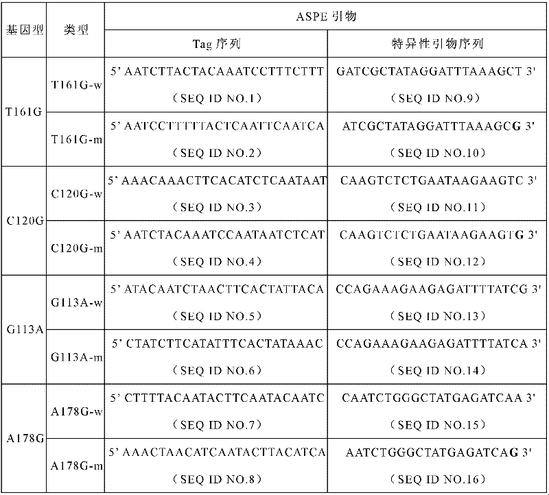 Specific primers and liquid-phase chip for SNP (Single Nucleotide Polymorphism) detection of LPL gene