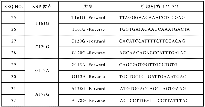 Specific primers and liquid-phase chip for SNP (Single Nucleotide Polymorphism) detection of LPL gene