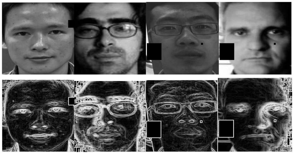 Face spoofing detection method and system based on meta-pseudo labels and illumination invariant features
