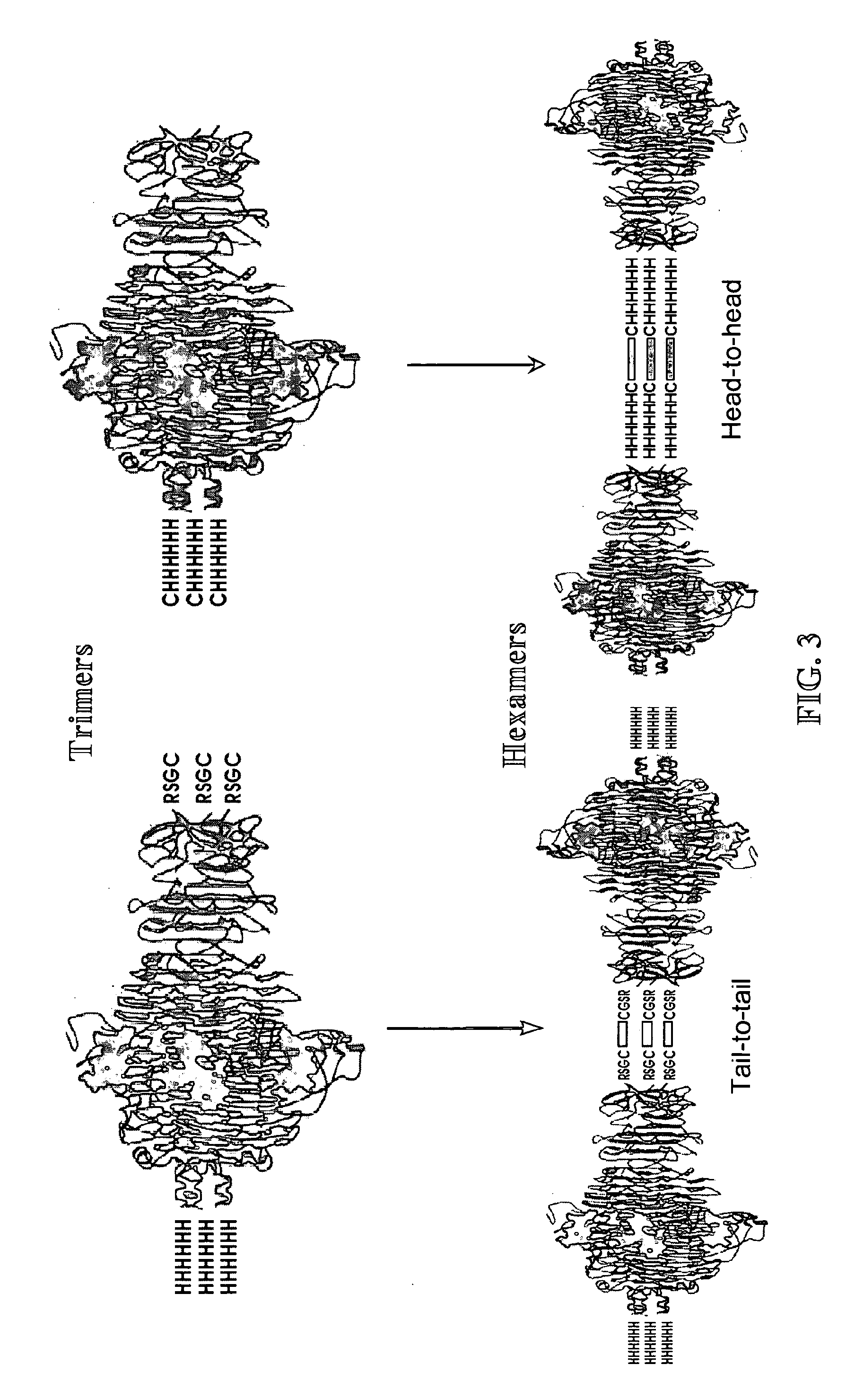 Phage receptor binding proteins for antibacterial therapy and other novel uses