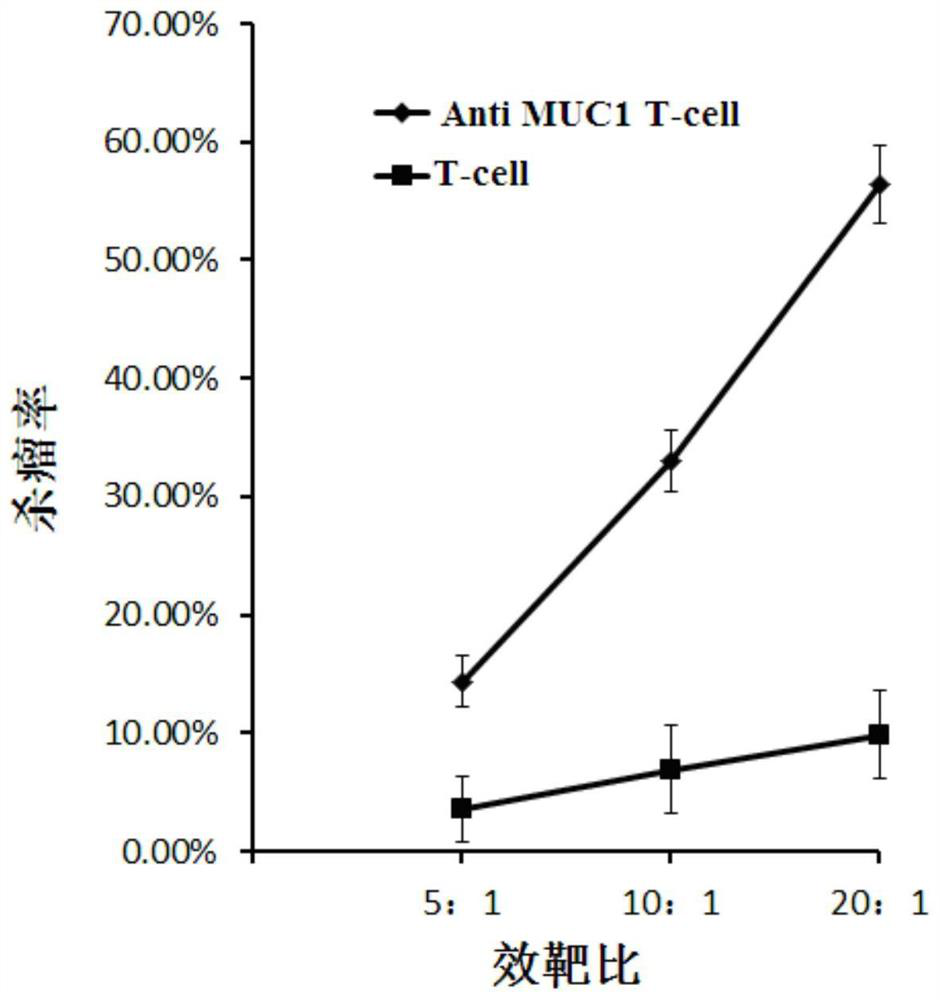 Anti MUC1 CAR-T cell and its preparation method and application