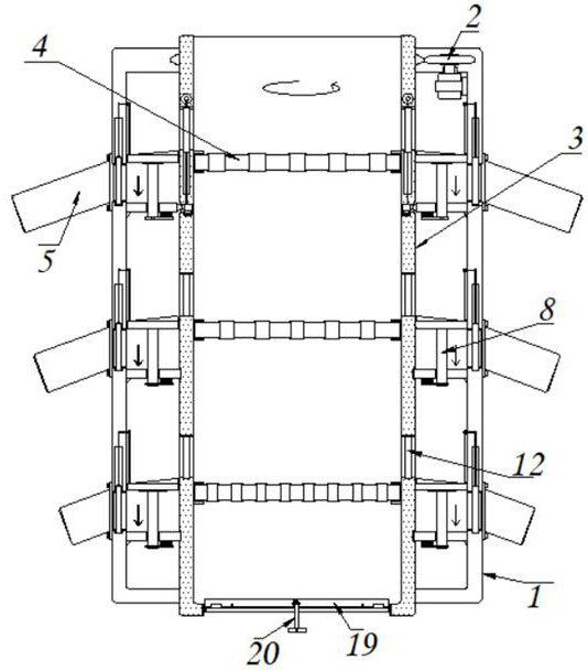 Centrifugal screener for synchronously collecting biomass particles with different particle sizes