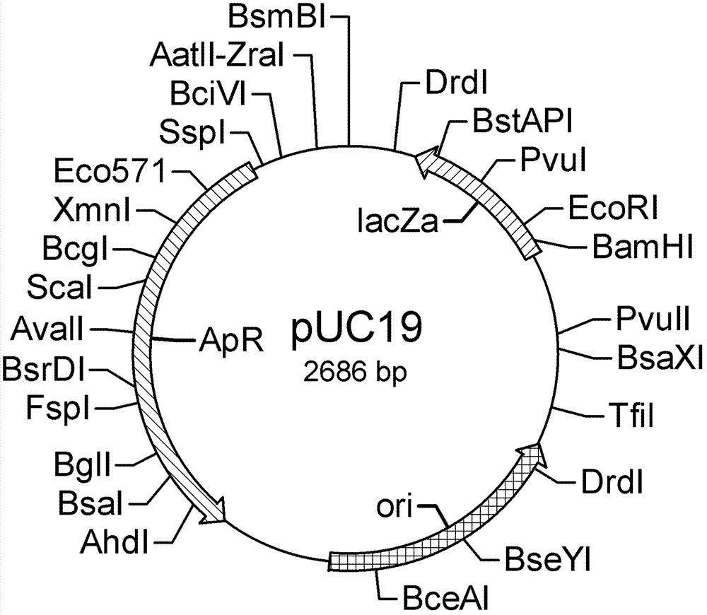 Construction of recombinant eukaryotic hansenula engineering bacterial strains containing medical hirudin genes and production process of recombinant hirudin