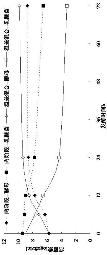 Temperature difference mixing preparation process for multi-strain step-by-step fermentation of carbonated beverage