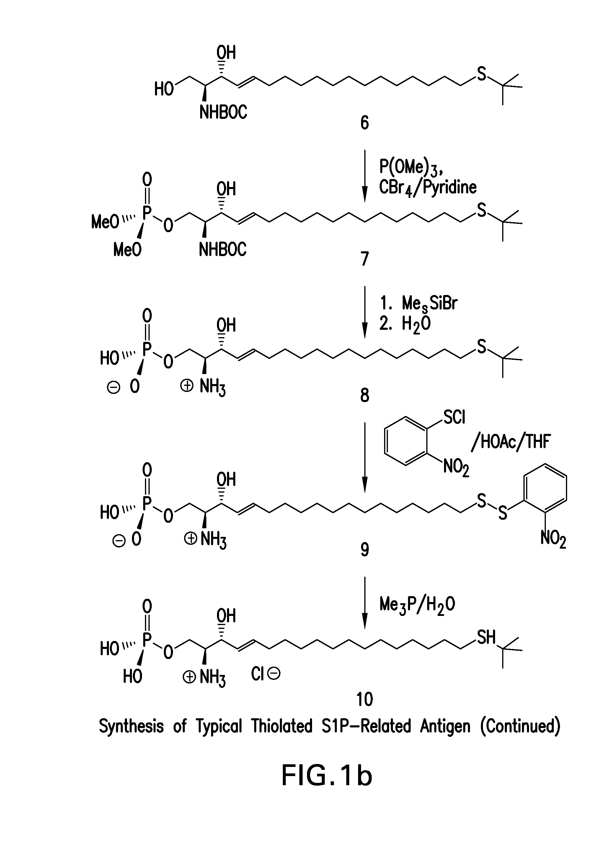 Compositions and methods for binding lysophosphatidic acid