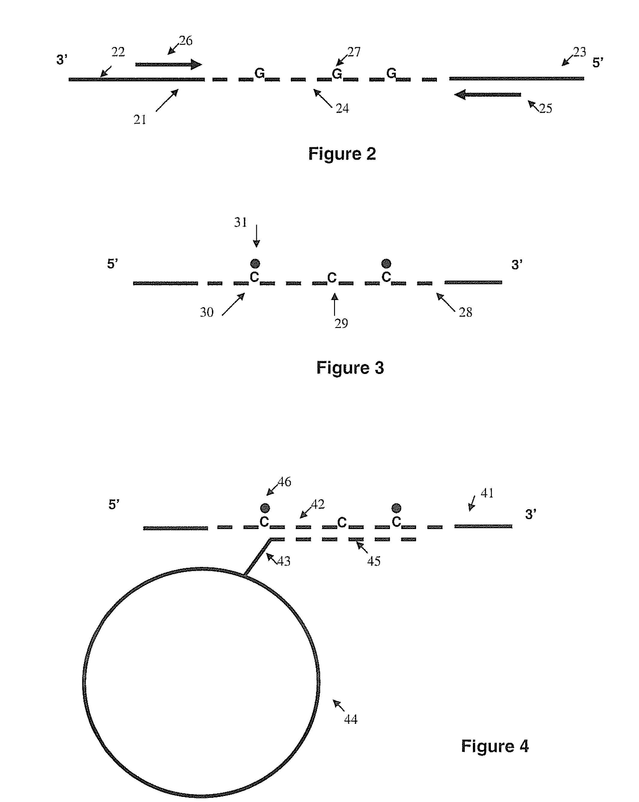 Methods for detecting DNA methylation using encoded particles
