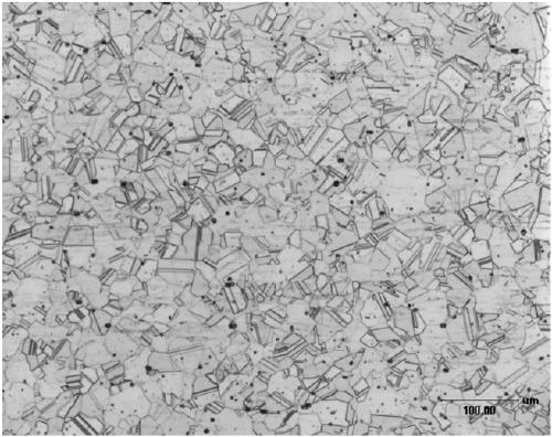 Stainless steel and manufacturing method thereof