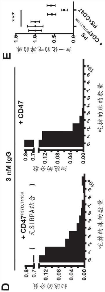 Combination cancer therapy involving chemical activation of integrin and targeted cellular immunotherapy